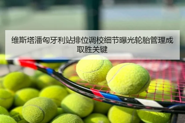 维斯塔潘匈牙利站排位调校细节曝光轮胎管理成取胜关键