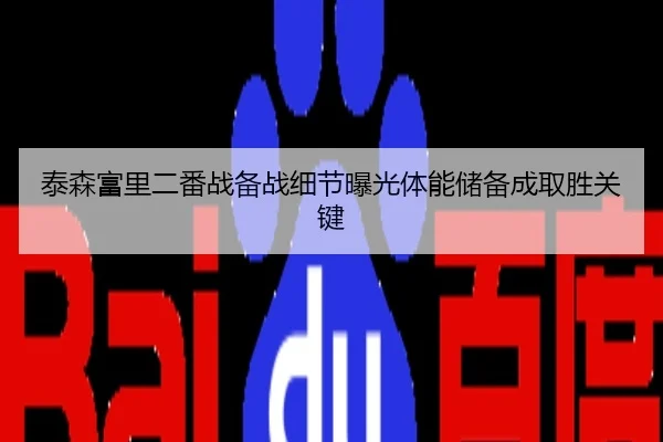 泰森富里二番战备战细节曝光体能储备成取胜关键